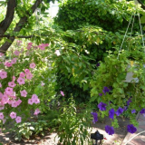 Vertikální záhon pro petúnie - návod na výrobu krok za krokem